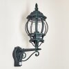 Lentua Outdoor Wall Light green, black, 1-light source, Motion sensor