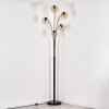 Ripoll floor lamp black, 5-light sources