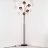 Koyoto floor lamp clear, coppery, 5-light sources