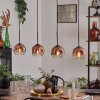 Ripoll pendant light clear, coppery, 4-light sources