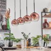 Ripoll pendant light clear, coppery, 4-light sources