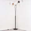 Gastor floor lamp Amber, clear, Smoke-coloured, 3-light sources