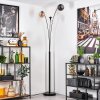 Gastor floor lamp Amber, clear, Smoke-coloured, 3-light sources