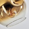 Ripoll pendant light gold, clear, 4-light sources