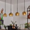 Ripoll pendant light gold, clear, 4-light sources