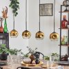 Ripoll pendant light gold, clear, 4-light sources