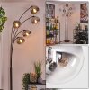 Gastor floor lamp chrome, clear, Smoke-coloured, 5-light sources