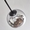 Gastor ceiling light 74 cm chrome, clear, Smoke-coloured, 6-light sources