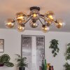 Gastor ceiling light 91 cm Amber, clear, Smoke-coloured, 12-light sources