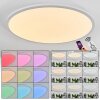 Sani Ceiling Light LED white, 1-light source, Remote control, Colour changer