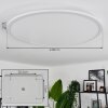 Sani Ceiling Light LED white, 1-light source, Remote control, Colour changer