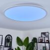 Sani Ceiling Light LED white, 1-light source, Remote control, Colour changer