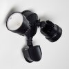 EMMERLEV Outdoor Wall Light LED black, 2-light sources, Motion sensor