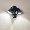EMMERLEV Outdoor Wall Light LED black, 2-light sources, Motion sensor