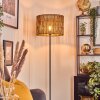 Cando floor lamp black, 1-light source