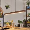 Carbellino pendant light LED white, 1-light source