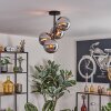 Gastor ceiling light, globe light chrome, Smoke-coloured, 4-light sources
