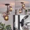 Gastor ceiling light, globe light chrome, clear, Smoke-coloured, 4-light sources