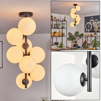 Gastor ceiling light, globe light transparent, 8-light sources