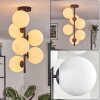 Gastor ceiling light, globe light transparent, 6-light sources