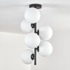Gastor ceiling light, globe light transparent, 6-light sources