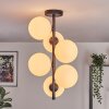 Gastor ceiling light, globe light transparent, 6-light sources