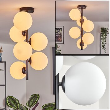 Gastor ceiling light, globe light transparent, 6-light sources