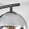 Gastor ceiling light, globe light Amber, clear, Smoke-coloured, 2-light sources