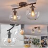 Gastor ceiling light, globe light clear, 2-light sources