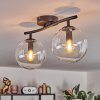 Gastor ceiling light, globe light clear, 2-light sources