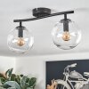 Gastor ceiling light, globe light clear, 2-light sources
