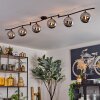 Gastor ceiling light, globe light chrome, Smoke-coloured, 6-light sources