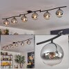 Gastor ceiling light, globe light chrome, clear, Smoke-coloured, 6-light sources