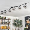 Gastor ceiling light, globe light chrome, clear, Smoke-coloured, 6-light sources