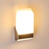 Outdoor Wall Light Clear LED matt nickel, 1-light source