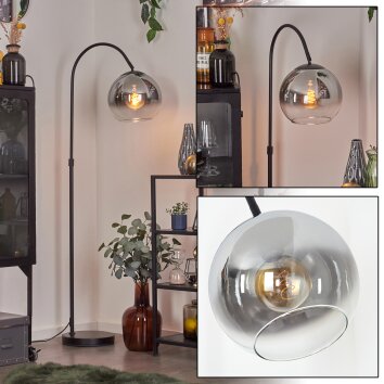Koyoto globe light, floor lamp, Arch lamps chrome, clear, Smoke-coloured, 1-light source