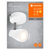Ledvance Lights Spot ceiling light, ceiling spotlight LED white, 1-light source