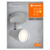 Ledvance Lights Spot ceiling light, ceiling spotlight LED grey, 1-light source