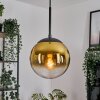 Gastor hanging light, globe light 20 cm gold, clear, 1-light source