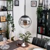Gastor hanging light, globe light clear, Smoke-coloured, 1-light source