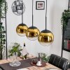 Gastor hanging light, globe light gold, clear, 3-light sources