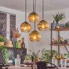 Koyoto hanging light, globe light 35 cm gold, clear, 4-light sources