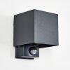 Almodofa outdoor wall light, Up & Down Light anthracite, 1-light source, Motion sensor