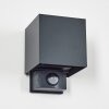 Almodofa outdoor wall light, Up & Down Light anthracite, 1-light source, Motion sensor