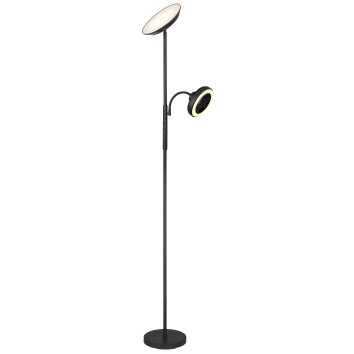 Globo lighting DAVYD floor lamp LED black, 1-light source