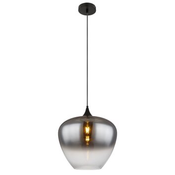 Globo lighting Maxy hanging light black, 1-light source