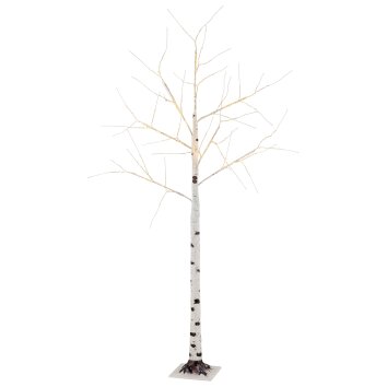 Globo lighting Birch outdoor light LED black, white, 105-light sources