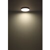 Globo lighting Matthew ceiling light LED black, white, 1-light source