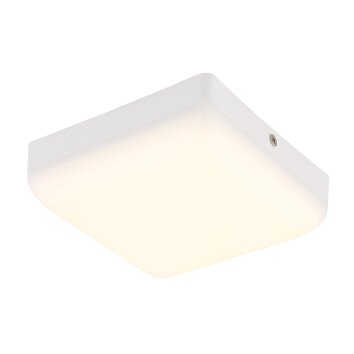 Globo lighting Matthew ceiling light LED white, 1-light source