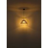Globo lighting Baku hanging light black, 1-light source